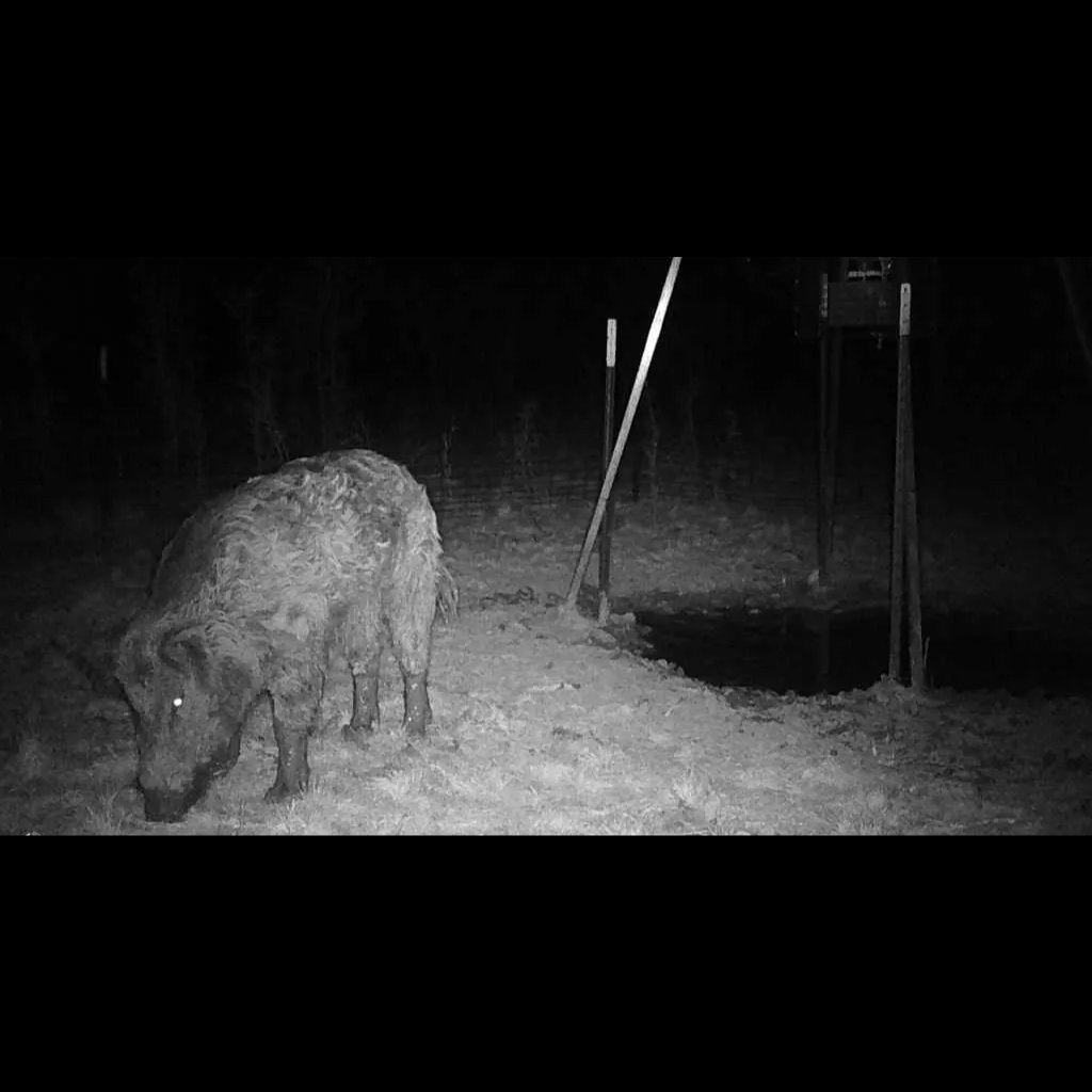 Voyagear 2025 Night Vision Goggles