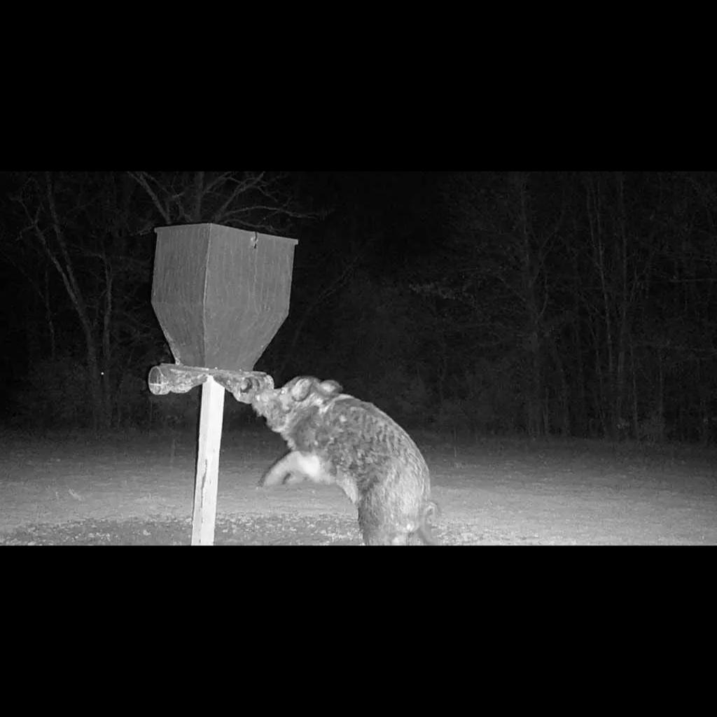 Voyagear 2025 Night Vision Goggles